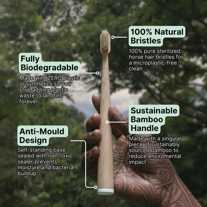 Elivya- Horse Hair Toothbrush